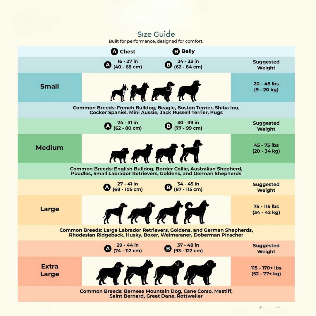 No Pull Tactical Harness