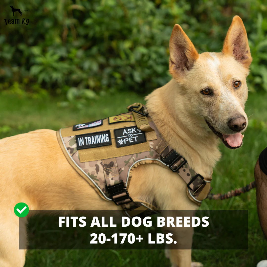 No Pull Tactical Harness