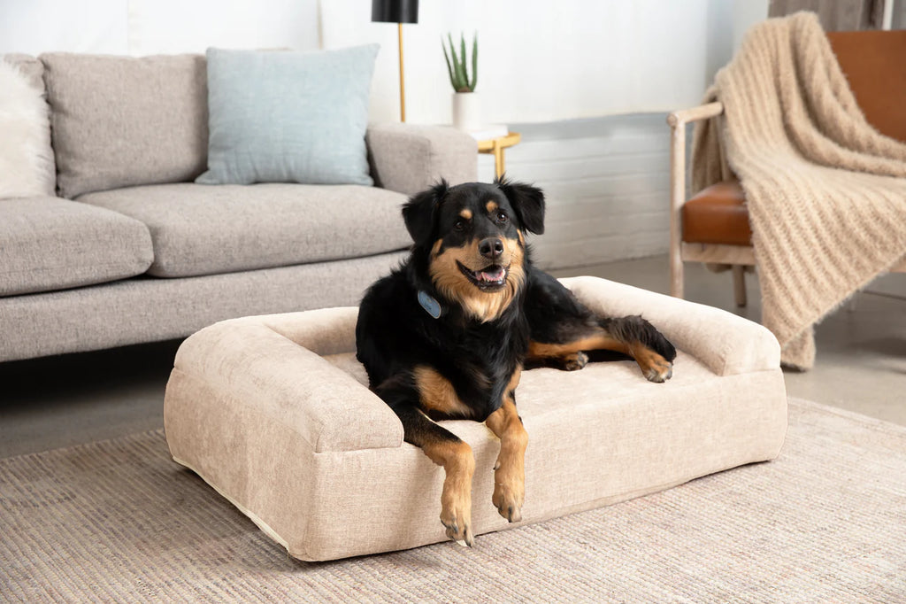 Orthopedic Dog Bed