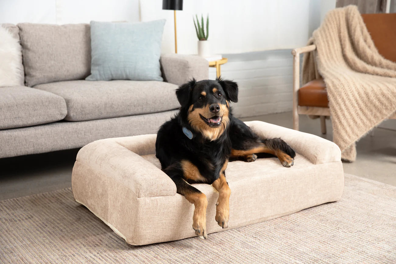 Orthopedic Dog Bed