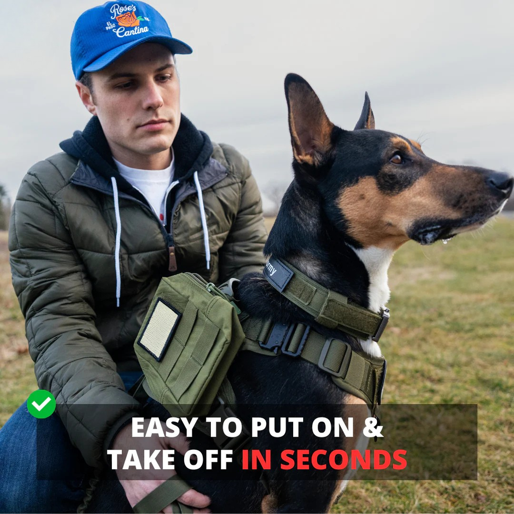 No Pull Tactical Harness