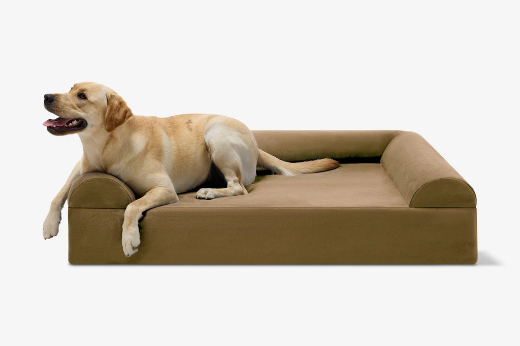Orthopedic Dog Bed